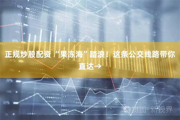 正规炒股配资 “果冻海”踏浪！这条公交线路带你直达→